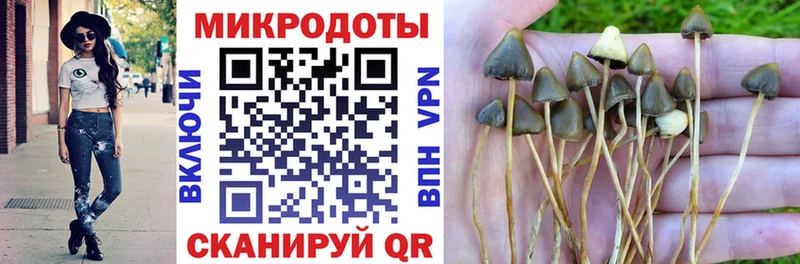 где можно купить   KRAKEN как зайти  Псилоцибиновые грибы Cubensis  Сенгилей 